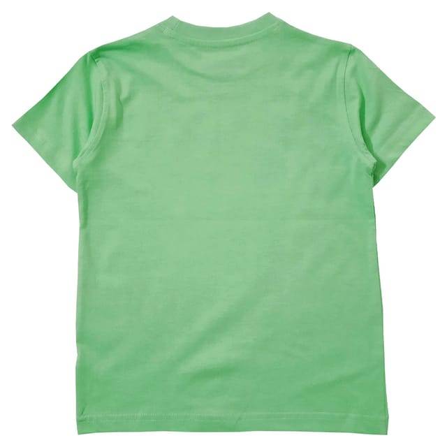 Snowflakes Boys Half sleeve T shirt With Cat Print - Sea Green