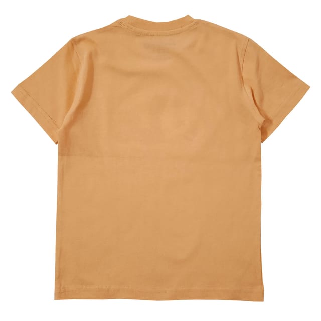 Snowflakes Boys Half sleeve T shirt With Panda Print -Peach