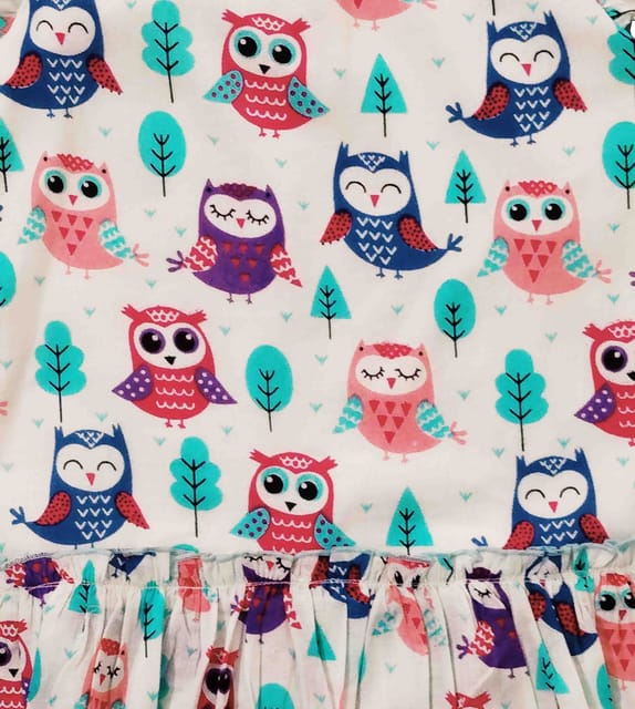 Snowflakes Girls Sleeveless Dress With Owl Prints - White