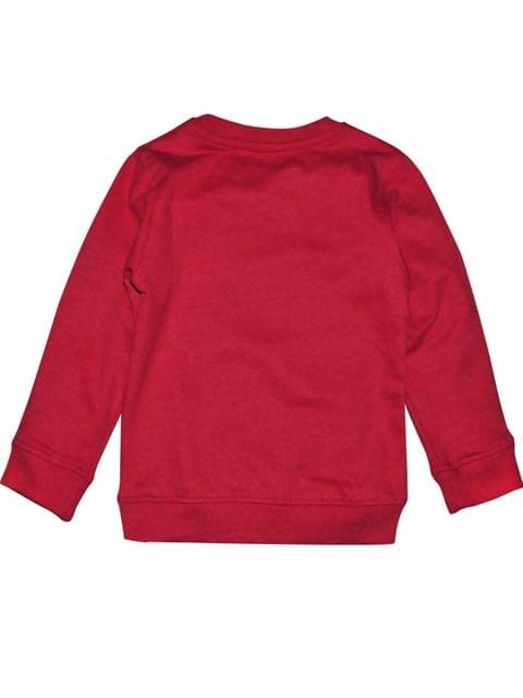 Red Sweatshirt With Parrot Print